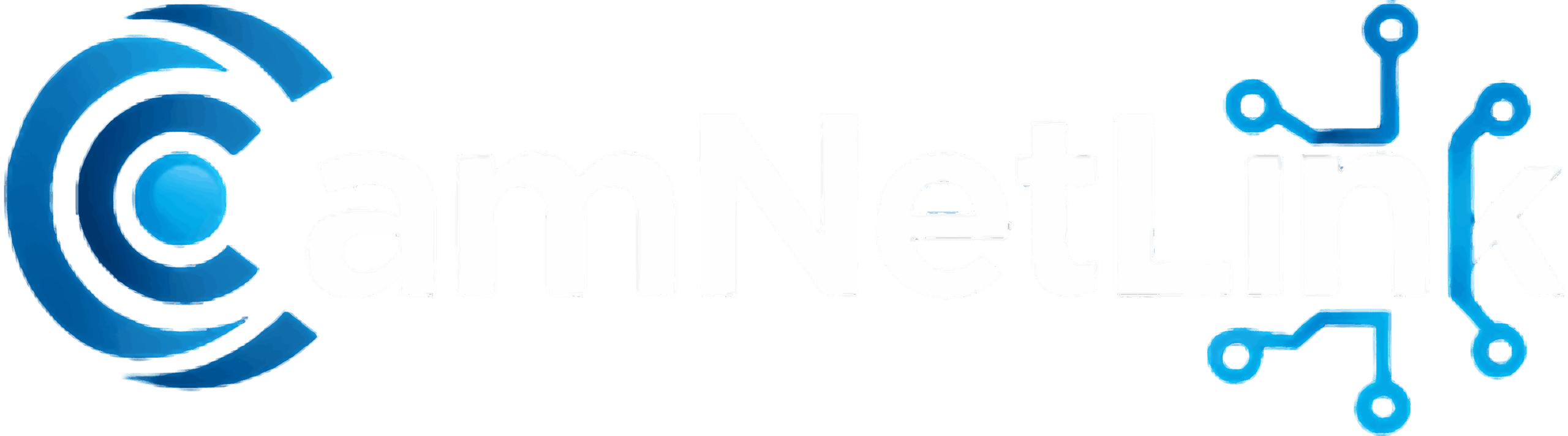 Security Camera & Network Installation in Seattle